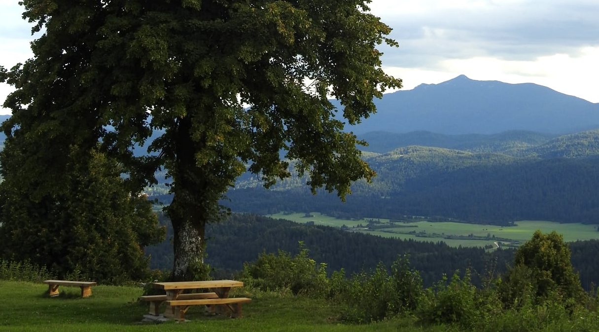 Lipa na Križni gori