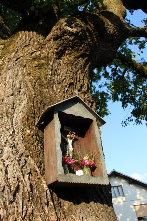 lipa Iga vas kapelica