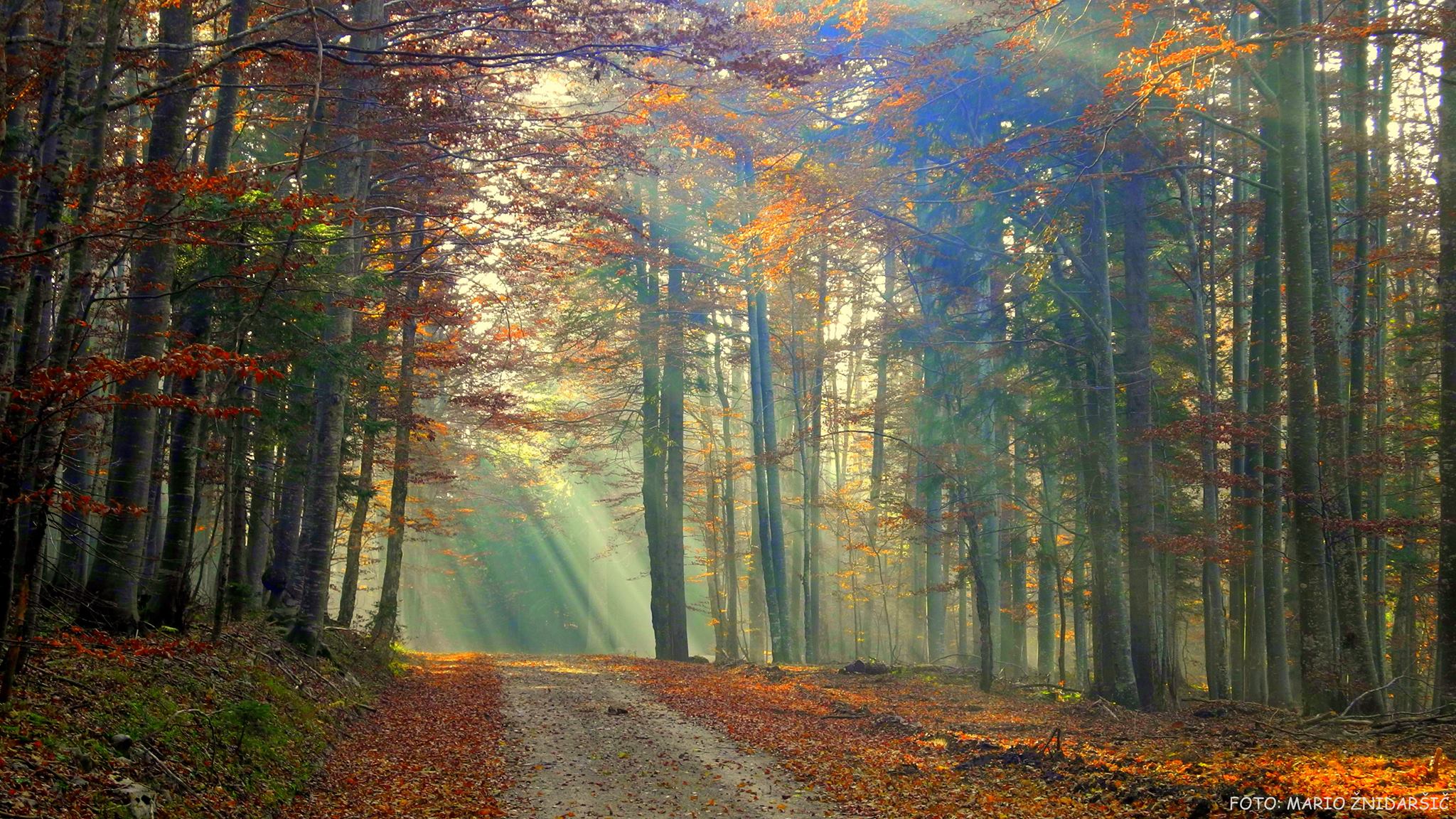 mariova-najljubsa-fotografija