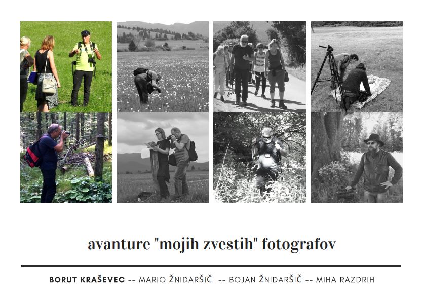 Moj zvesti fotograf: Borut&nbsp;Kraševec