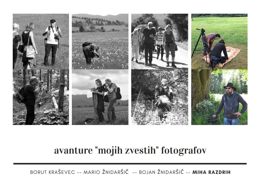 moji fotografi _Miha