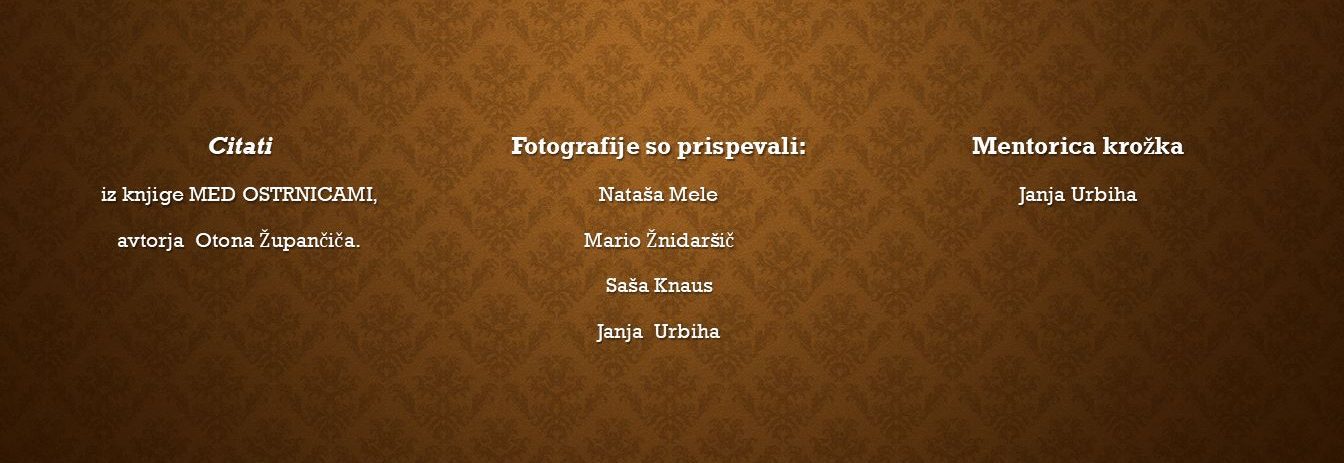 med-ostrnicami-kolofon