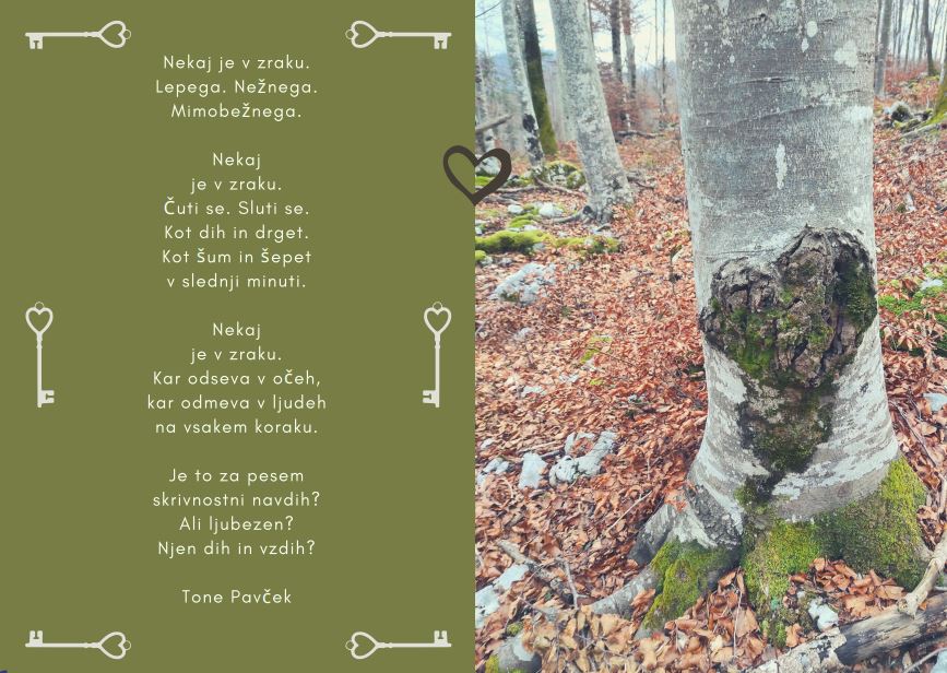 o-ljubezni-tone-pavcek