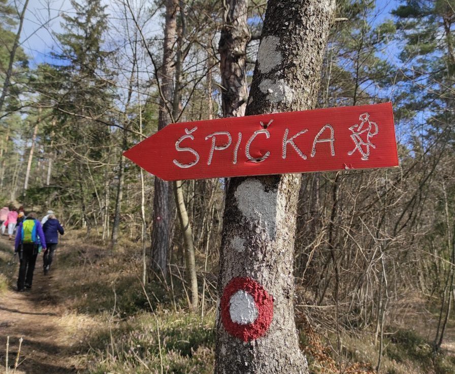 Ste že osvojili&nbsp;Špičko?