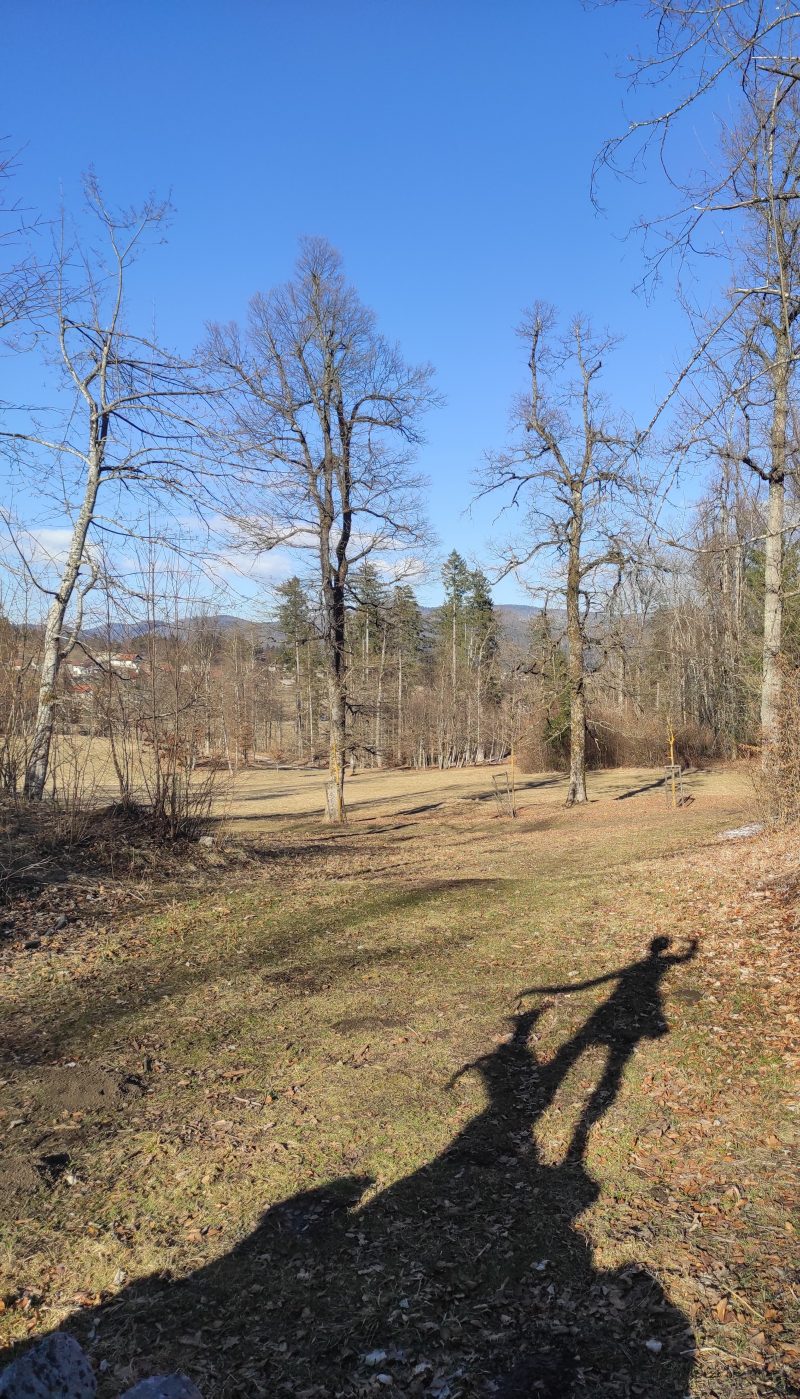 senca Snežniška Diana