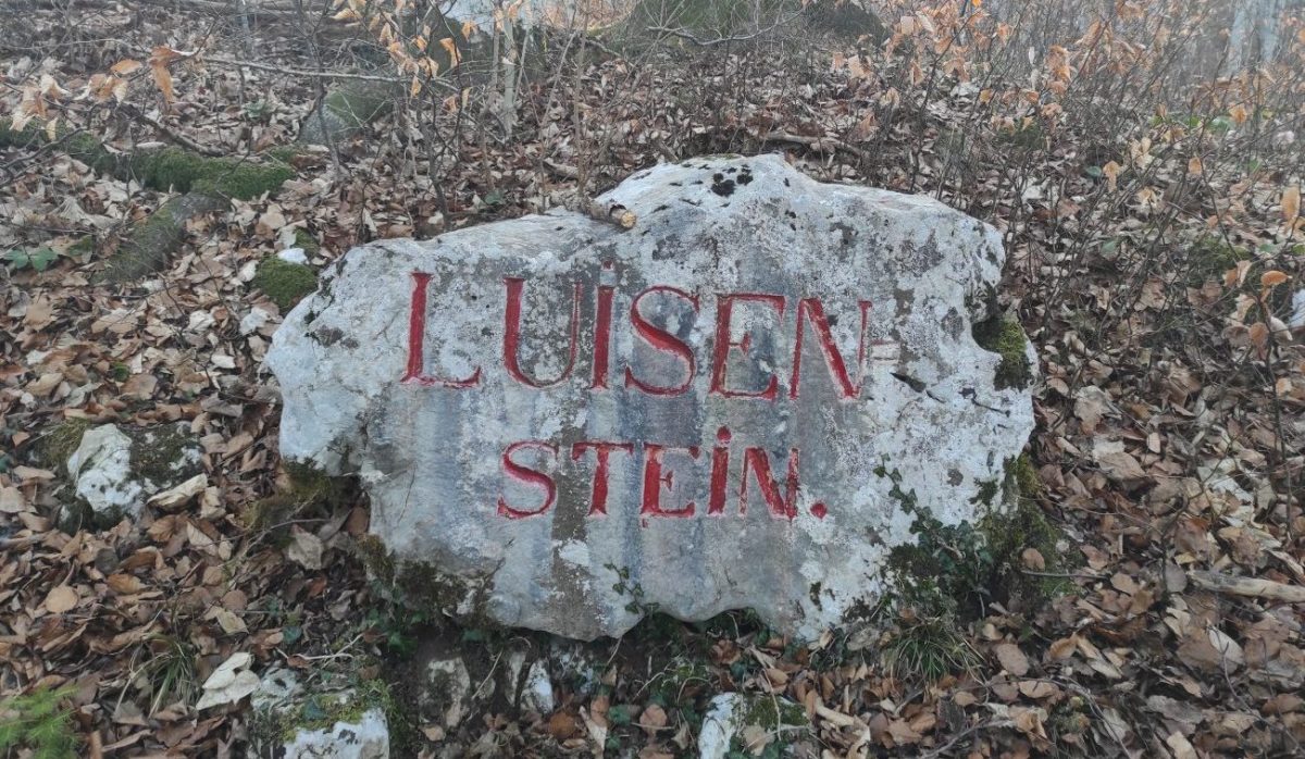 Kdo je bila&nbsp;Luisa?