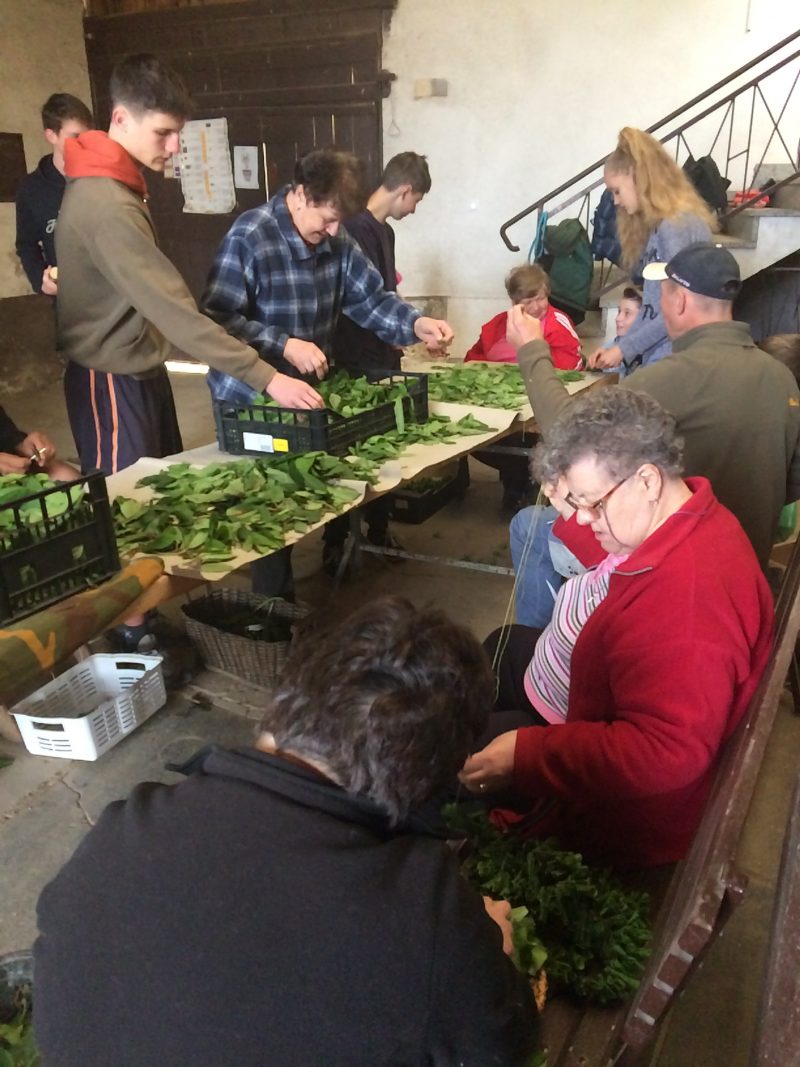 pletenje vencev iz slepic